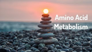 Amino Acid Metabolism Energy HealingFrequency Healing Meditation [upl. by Annyl]