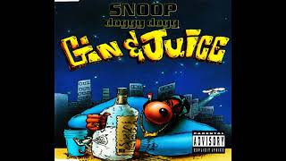 Snoop Dogg  Gin And Juice Synthesizer Version Slowed  Pitch Down [upl. by Leopoldeen968]