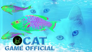 Cat Games Fish  Catching Colorful Fish Video For Cats To Watch  Cat Tv [upl. by Xela]