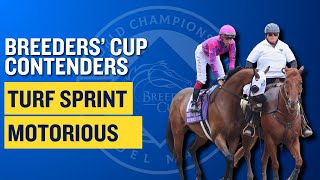 Breeders Cup Contender Preview Motorious [upl. by Demaria]