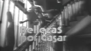 Promo Bellezas por casar 25121974 TVE1 [upl. by Drhacir826]