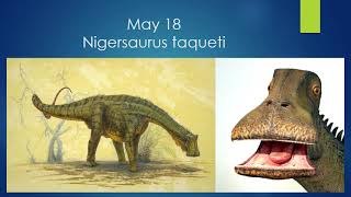 Age of Dinosaurs Calendar May [upl. by Sylas196]