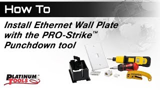 How To Install Ethernet Wall Plate with PROStrike™ Punchdown Tool [upl. by Bruyn]