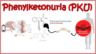 Phenyl Ketonuria  genetic defects in aminoacid metabolism [upl. by Angrist]