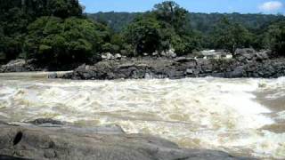 Río Caquetá en Cañón Araracuara [upl. by Yatnwahs]