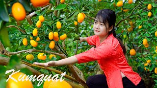 ASMR COOKING FOOD Harvesting ripe Kumquat trees  Cooking in a rural kitchen [upl. by Acinoed]