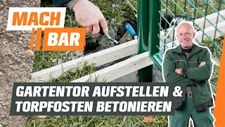 Gartentor aufstellen und Torpfosten betonieren  OBI [upl. by Martina]