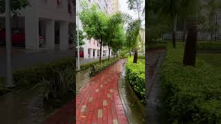 Shapoorji Pallonji Shukhobrishti Housing Complexkolkata ytshorts rain weather nature shorts [upl. by Aihsekan646]