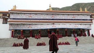 LABRANG MONASTERY  TIBETAN MONK PRAYER CEREMONY  XIAHE TIBET  EP 020 [upl. by Sallyann]