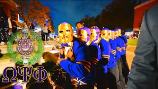 Omega Psi Phi  Magnificent Xi Zeta Chapter  Fall 2024 New Initiate Presentation Univ of Memphis [upl. by Coussoule802]