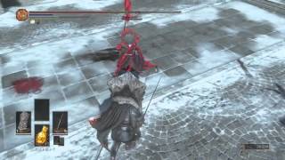 DARK SOULS 3  Havel Shield  Estoc Str Build PVP 1st [upl. by Malanie898]