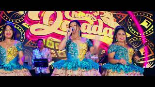 CHICAS DORADAS  Somos Culpables  Concierto En Vivo 2024  Huayno Con Requinto Peruano [upl. by Brod]