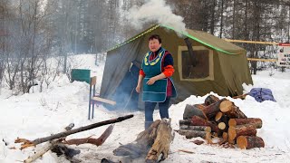 north nomad family routine in a forest tent in wilderness [upl. by Ynez877]