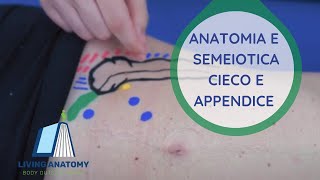 CIECO E APPENDICE  SEMEIOTICA E ANATOMIA PALPATORIA [upl. by Airamak100]