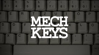 Mechanical Keyboards A Brief Introduction [upl. by Yancy]