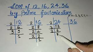 Lcm of 12 16 24 36 by prime factorization  in UrduHindi [upl. by Barn963]