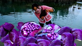 😱🎁Pry open the giant purple clam which is pregnant with countless purple pearls intoxicating [upl. by Sinclare]