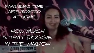 HOW MUCH IS THAT DOGGIE IN THE WINDOW COVER SONG BY VHING [upl. by Wedurn]