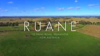 FOR SALE  RUANE STUD SYDNEY AUSTRALIA [upl. by Teague]