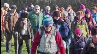 Wales Coast Path Gowerton to Penclawdd with Swansea Ramblers [upl. by Karlow76]