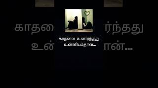 Nee muthala mudiva ullam thadam maaruthe  vibe tamil song lyrics tamilsonglyrics tamilstatus [upl. by Okkin]