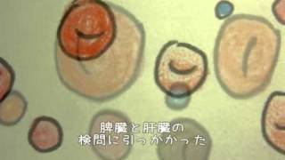 溶血【オリジナルソング】 [upl. by Yahsan]