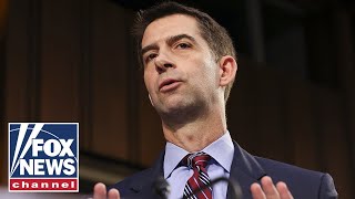 Tom Cotton rips Biden over Beijing Olympics They have no plan to protect our athletes [upl. by Viviana21]