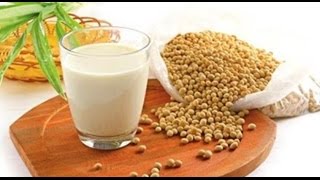 How to make SOY MILK at home very EASY [upl. by Darice532]