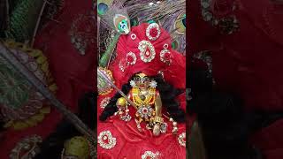 Kitna pyara hai shringaar 🧿🙏🙏shortvideo shorts [upl. by Suirtimid]