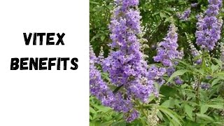 Health Benefits Of Vitex yearofyou [upl. by Benedikta760]