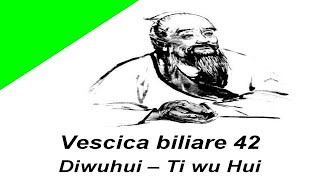 Vescica biliare 42  meridiano vescica biliare  atlante di agopuntura  corso di agopuntura online [upl. by Monty828]