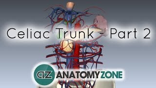 Celiac ArteryTrunk  Part 2  Anatomy Tutorial [upl. by Notlef]