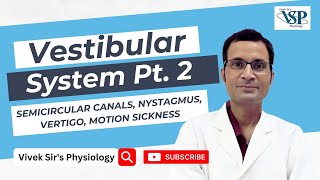 Vestibular system Part 2 Semicircular canals Nystagmus vertigo motion sickness [upl. by Licna]