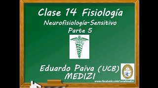 Clase 14 Fisiología  Neurofisiología Sensitivo 5 IGdoctorpaiva [upl. by Teodoro77]