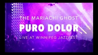 The Mariachi Ghost  Puro Dolor Live at Winnipeg Jazzfest [upl. by Ereveniug]