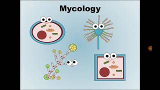 1 Mycology علم الفطريات [upl. by Maurise45]