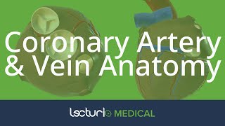 Coronary Artery amp Vein Anatomy  Cardiac Anatomy [upl. by Velasco98]