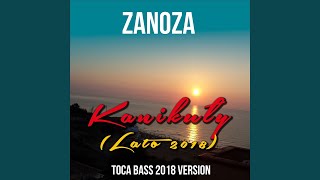 Kanikuły Toca Bass 2018 Radio Remix [upl. by Enidualc200]