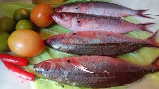 Yellow Tail Fusilier Fish  Pritong Dalagang Bukid  Budget Meal [upl. by Salvidor]