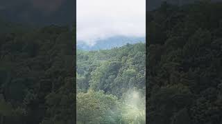 Great Smoky Mountains youtubecreators smokymountains youtubehighfive ytshorts tennessee [upl. by Anilra]