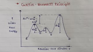 Curtin Hammett Principle  Organic chemistry  MSc Semester 1 Notes [upl. by Sidnal]