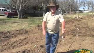 Backyard Orchard Demo  planting [upl. by Cicely76]