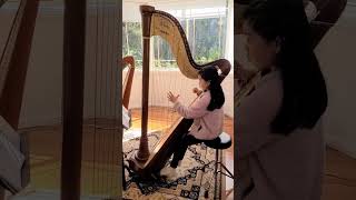 Carolans Concerto Harp [upl. by Eeslek414]