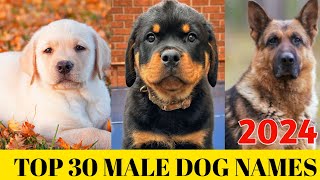 Male dog Names 2024  Top 30 Male Dog Names  New dog names [upl. by Janna]