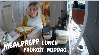 MEALPREPP En Veckas Måltider För En Person [upl. by Coucher]