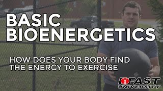 Basic Bioenergetics How does your body find the energy to exercise [upl. by Ayres862]