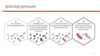 Nosocomial Pneumonia and InfluenzaPneumococcal Vaccines [upl. by Duong]