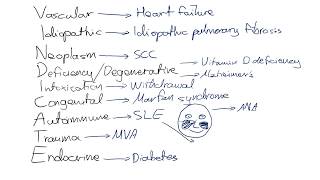 VINDICATE Mnemonic for Differential Diagnoses [upl. by Marcelo]