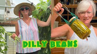 CANNING Dilly Beans the EASY WAY Nobody Tells You [upl. by Ardrey871]