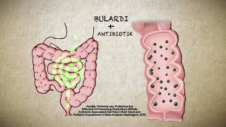 Bulardi Probiotik  jedini koji se može koristii uz antibiotike [upl. by Conney]
